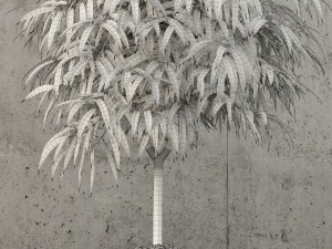 plants collection 60 Modèle 3D