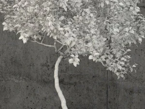 plants collection 61 3D Model
