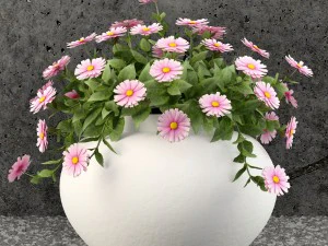 plants collection 61 3D Model