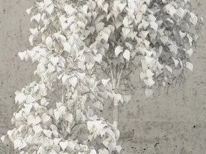 plants collection 62 3D Model