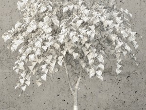 plants collection 62 3D Model