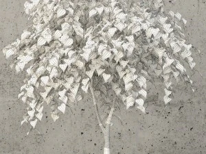 plants collection 62 3D Model