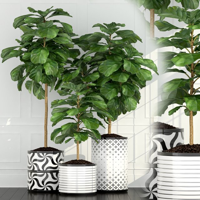 plants collection 63 Model 3D .c4d .max .obj .3ds .fbx .stl .blend 