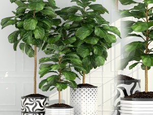 plants collection 63 Model 3D