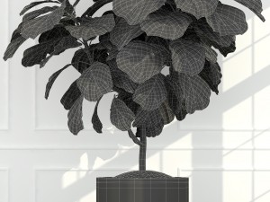 plants collection 63 Model 3D