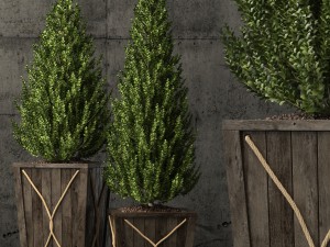 plants collection 64 3Dモデル
