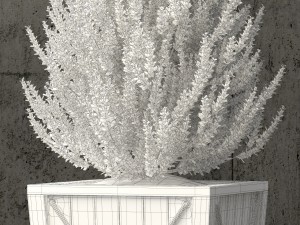 plants collection 64 Model 3D