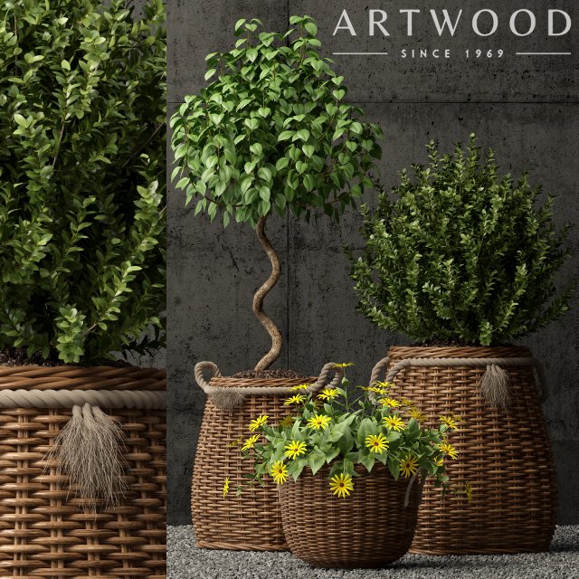 plants collection 65 Modello 3D .c4d .max .obj .3ds .fbx .stl .blend 