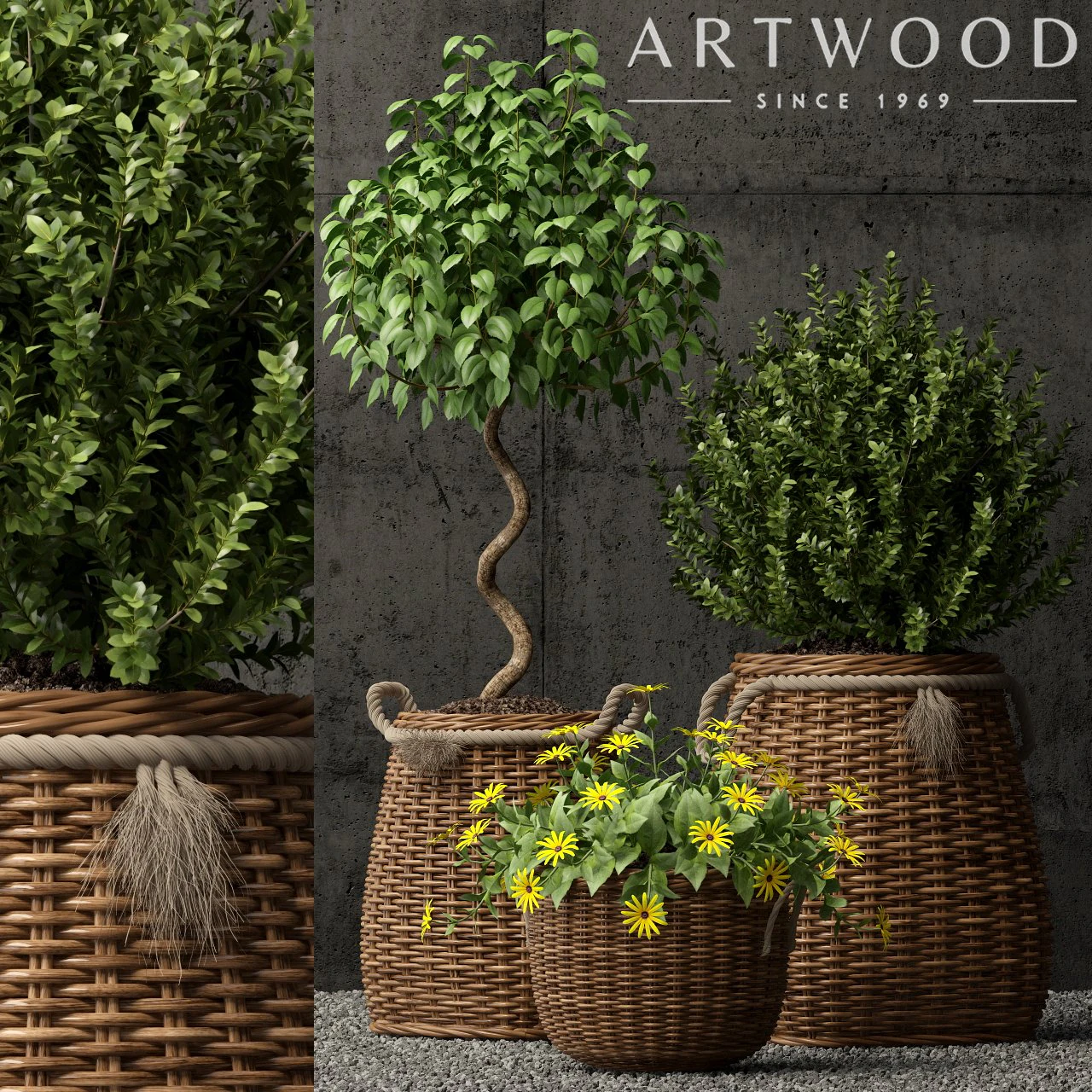 plants collection 65 3D Model .c4d .max .obj .3ds .fbx .stl .blend 