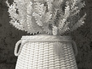 plants collection 65 Modello 3D