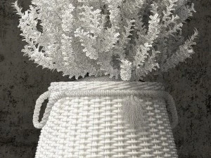 plants collection 65 3D Model