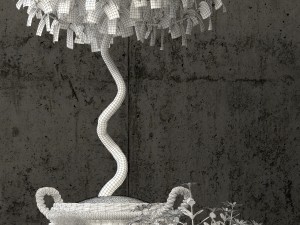 plants collection 65 Modello 3D