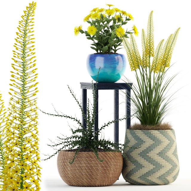 plants collection 81 3D Model .c4d .max .obj .3ds .fbx .stl .blend 