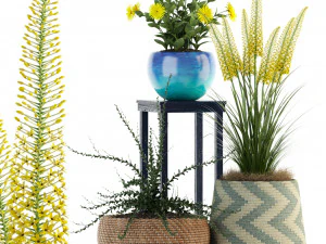 коллекция растений 81 3D Модель