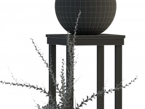 plants collection 81 3D Model