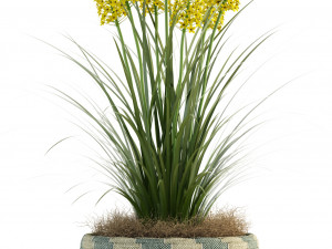 plants collection 81 3D Model