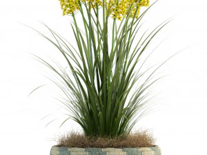 plants collection 81 3D Model