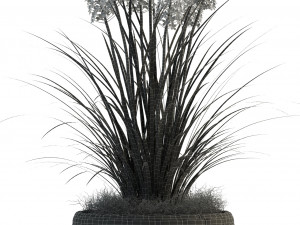 plants collection 81 3D Model
