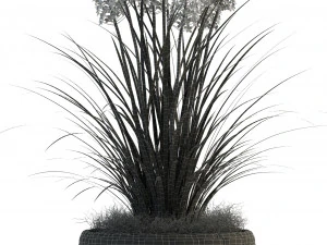 plants collection 81 3D Model