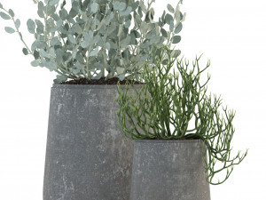 plants collection 82 garden life pots Modello 3D