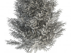 plants collection 83 3D Model