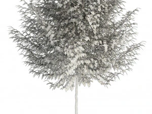 plants collection 83 3D Model