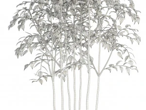 plants collection 84 3D Model