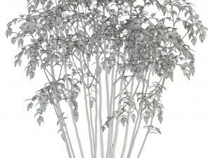 plants collection 84 3D Model