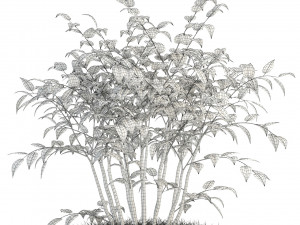 plants collection 84 3D Model