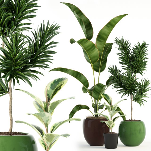 plants collection 85 Modello 3D .c4d .max .obj .3ds .fbx .stl .blend 
