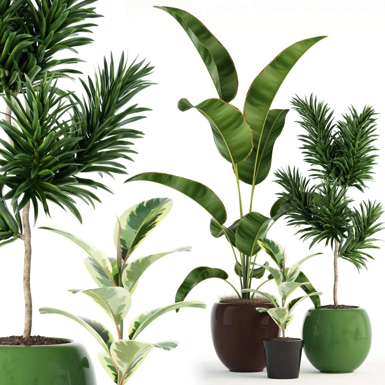 plants collection 85 3D Model .c4d .max .obj .3ds .fbx .stl .blend