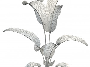plants collection 85 Modello 3D