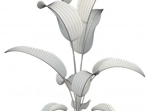 plants collection 85 3D Model