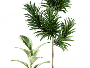 plants collection 85 Modello 3D