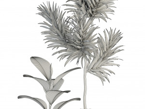 plants collection 85 Modello 3D