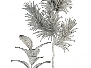 plants collection 85 3D Model