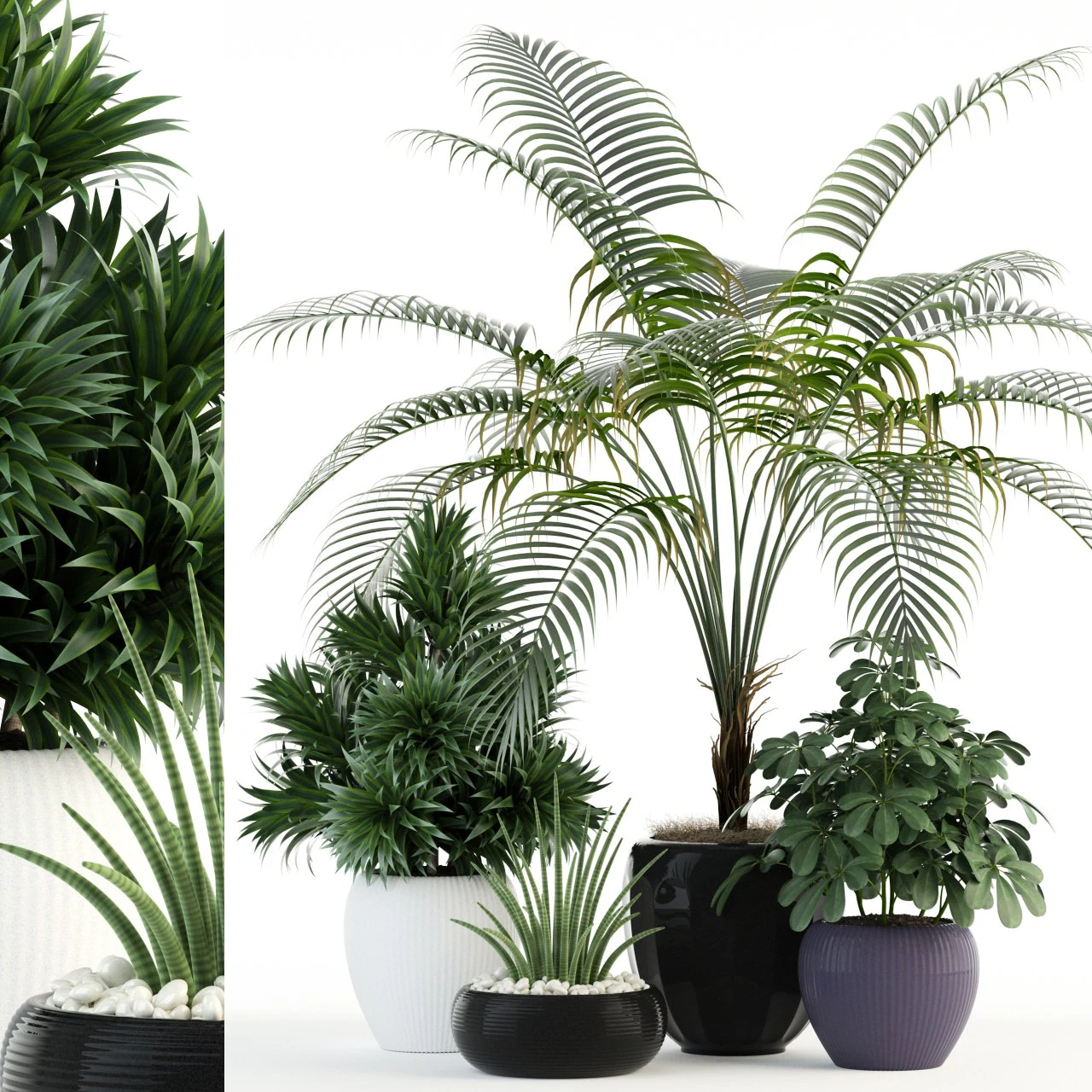plants collection 86 3D Model .c4d .max .obj .3ds .fbx .stl .blend 