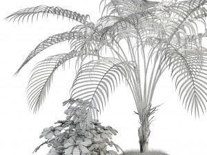 plants collection 86 3D 模型