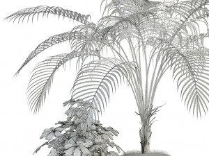 plants collection 86 3D Model