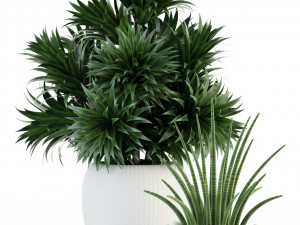 plants collection 86 3D 模型