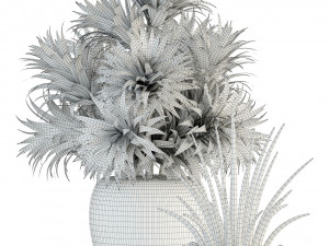 plants collection 86 3D 模型
