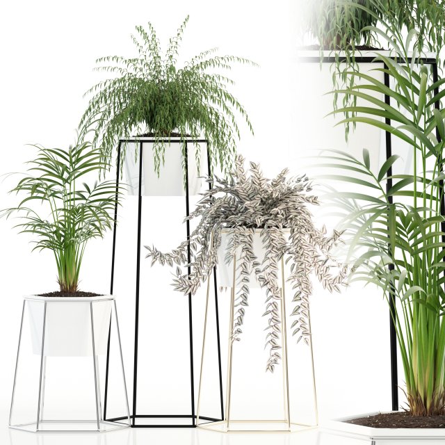 plants collection 88 3D Модель .c4d .max .obj .3ds .fbx .stl .blend 