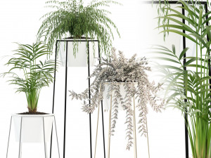 plants collection 88 3D 模型
