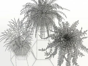 plants collection 88 3D Model