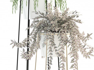 plants collection 88 3D Модель