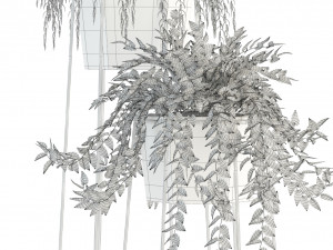 plants collection 88 3D Модель