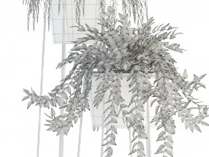plants collection 88 3D Model