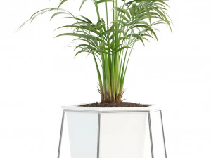 plants collection 88 3D Model