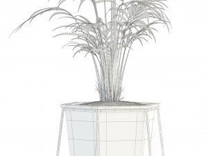 plants collection 88 3D Модель