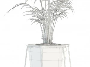 plants collection 88 3D Model